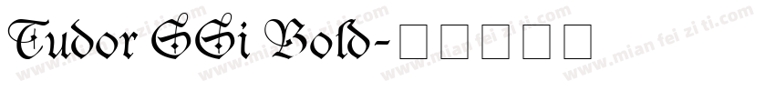 Tudor SSi Bold字体转换